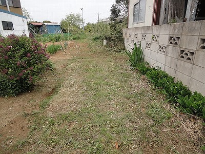 DSC02437